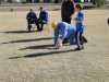 Boys U8 (9).JPG